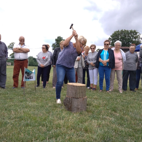 POWIATOWA OLIMPIADA SPORTOWA SENIORÓW NA WESOŁO- BULKOWO 2019